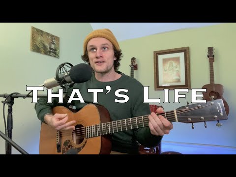 That's Life - Frank Sinatra (acoustic cover)