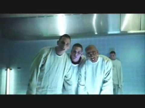 Grüne medizin (GMZ) - Psychose