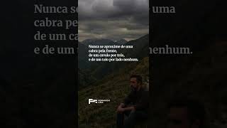 Você já me segue pra não perder nada?