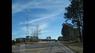 Standing at the End of the Line-Lobo