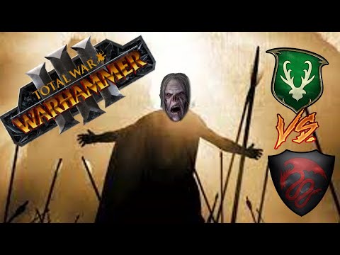 OUR ARROWS WILL BLOT OUT THE SUN | Wood Elves vs Vampire Counts - Total War Warhammer 3