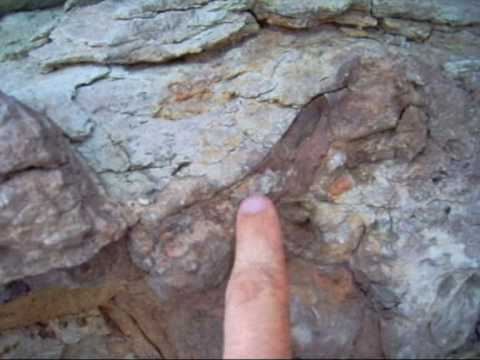 Dinosaurs in Utah, Excavation 2008
