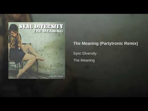 Sync Diversity - The Meaning (Partytronic Rmix)