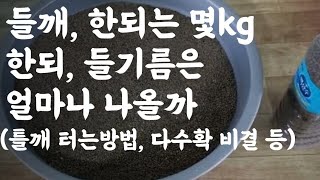 들깨, 한되는 몇kg?  / 한되를 짜면 들기름 량은? / 텃밭농 들깨 터는 방법?