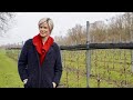 Bubbelend met wijngaard MinZeven 2023 in