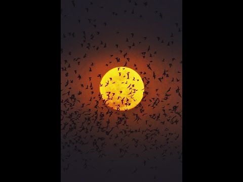 Λ Mellon Mix by DJ 111 Λ