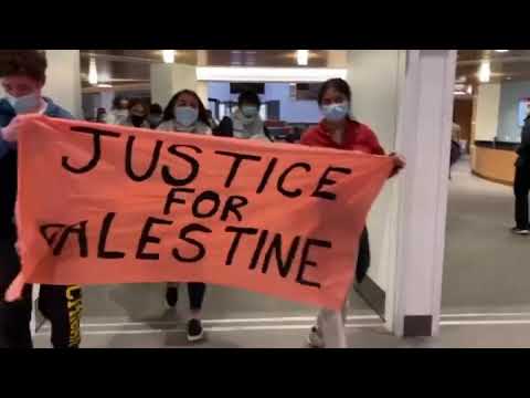 Asmer Safi youtube video #2