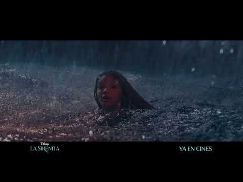 Anuncio: 'Has desobedecido las normas'