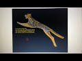 Iklan Hassenda Kaset CD Hit Bank 1995 1997
