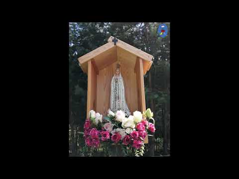 Pustelnia 07.10.2020 - Kazanie o. Daniela