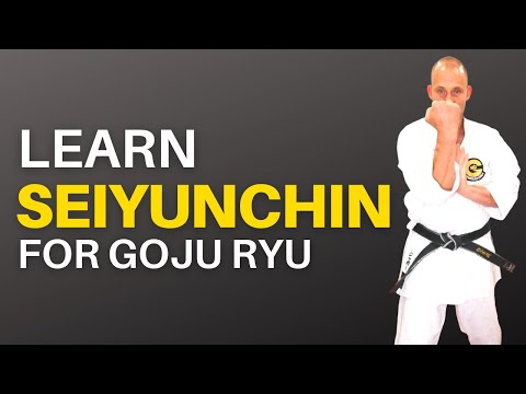 Seiyunchin Kata for Beginners: Learn the Steps