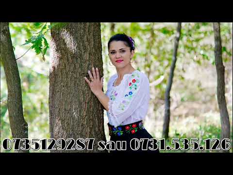 ADI RUSU & OANA SI GEORGE TURCILA - Cele mai tari melodii de sprit si voie buna