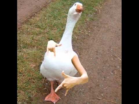 Sichtwaise & Mzes - Conscious Rap