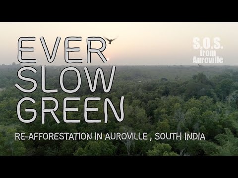, title : 'Ever Slow Green Full Movie (S.O.S. from Auroville)'
