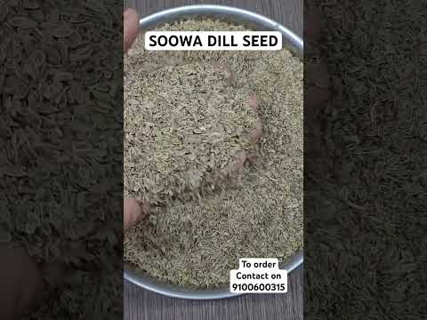 Soowa Dill Seed