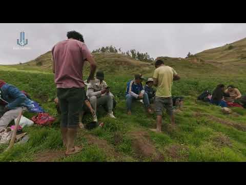 AKSHU TATAY (recultivo de papa) - CCARABAMBA - ACOBAMBA - HUANCAVELICA.