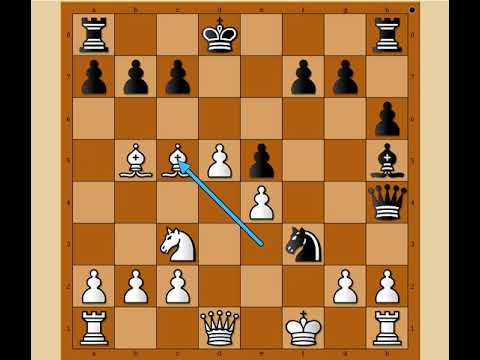 Ostao je bez Dame ali nije gubio nadu  ⭐⭐⭐  WALKER vs WRIGHT # 2257