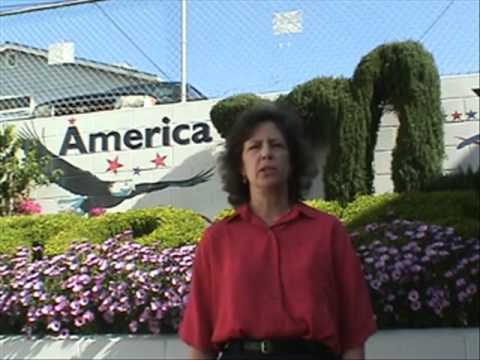 MTravel - Home Based Travel Agent Overview