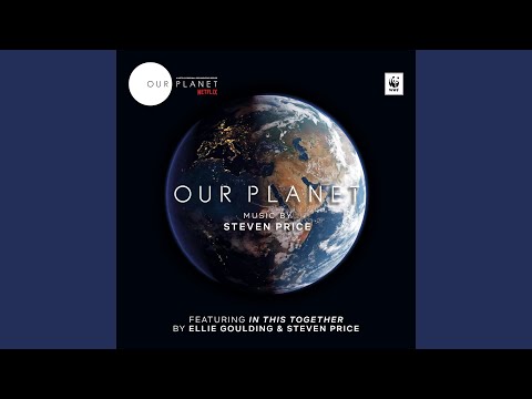 In This Together (Music From "Our Planet")