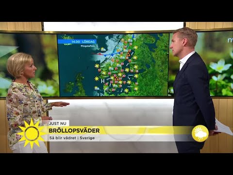 Nytt högtryck på väg in - så blir vädret i helgen - Nyhetsmorgon (TV4)