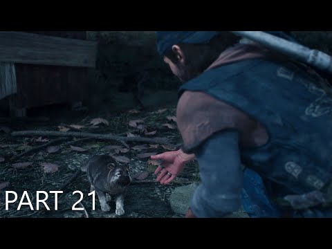 DAYS GONE - Walkthrough Gameplay Part 21 (No Commentary)
