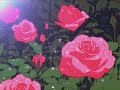 IlyTOMMY Ramona Flowers Lyrics
