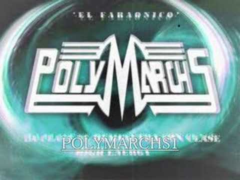 POLYMARCHS DISCO DE ORO