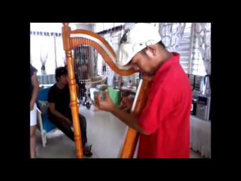 HARP GUY