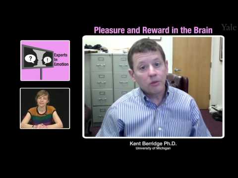 Kent Berridge on Pleasure and Reward in the Brain