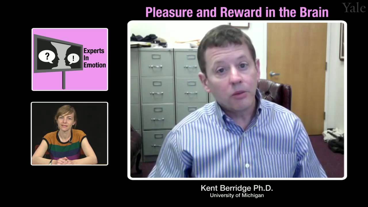 Kent Berridge on Pleasure and Reward in the Brain