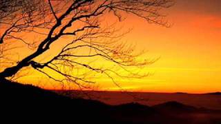 califone vampiring again