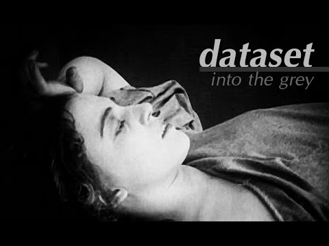 Dataset - Into The Grey (Dylar)
