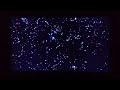 A Goofy Movie 1995 End Credits Start To The Silence Of The Lambs 1991 Opening Scene