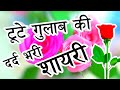 टूटे गुलाब की शायरी 2022🌹| tute Gulab ki shayari | Gulab shayari in Hindi