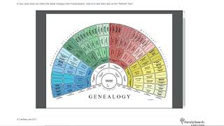 TreeSeek 7 Generation Fan Pedigree Chart Black or White