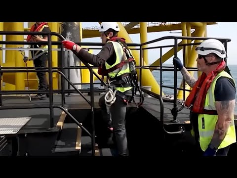 Working in ScottishPower Renewables