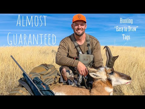 ALMOST GUARANTEED - Hunting Wyoming Pronghorn Antelope on EASY to draw tags