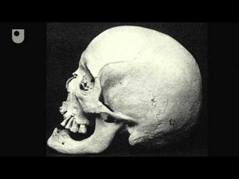 3Dテクノロジーがアメリカ最古の骸骨に顔を与えた