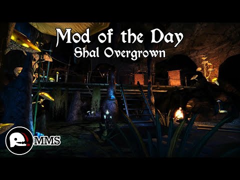 Morrowind Mod of the Day EP141 - Shal Overgrown Showcase