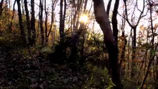 preview picture of video 'San Leo Passeggiata nel bosco'