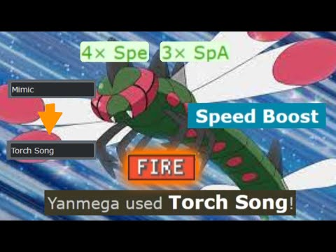 How to properly use Yanmega in Doubles (Pokemon Showdown Doubles)
