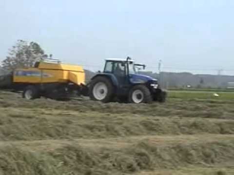 Timmerman-Willem: Grootpakpersen.