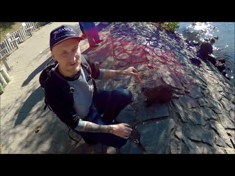 Exploring Prague with Jan - Podolí