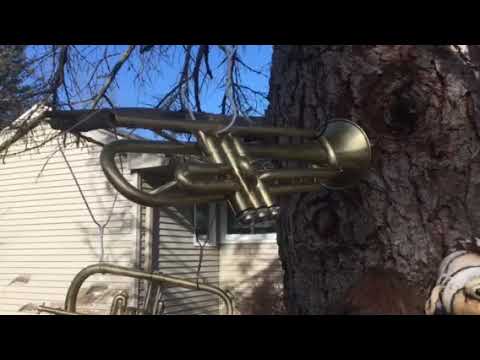Trumpets and whatnot