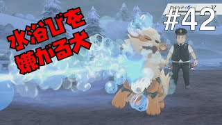 【ポケモンソードシールド #42】水浴びを嫌がる犬。キルクスタウンの道中にて【ゲーム実況】