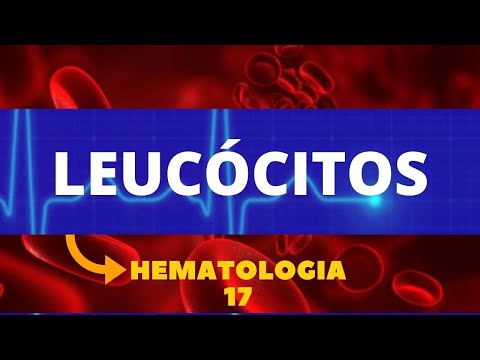 LEUCÓCITOS - HEMATOLOGIA - AULA 17