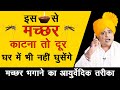 Ayurvedic Way To Get Rid Of Mosquitoes How To Get Rid Of Mosquitos Sanyasi Ayurveda