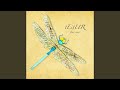 Poetry & Aeroplanes