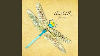 Poetry &amp; Aeroplanes