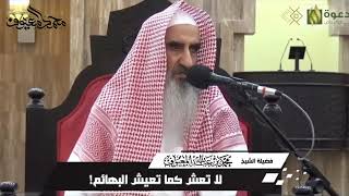 صورة لا تعش كما تعيش البهائم!